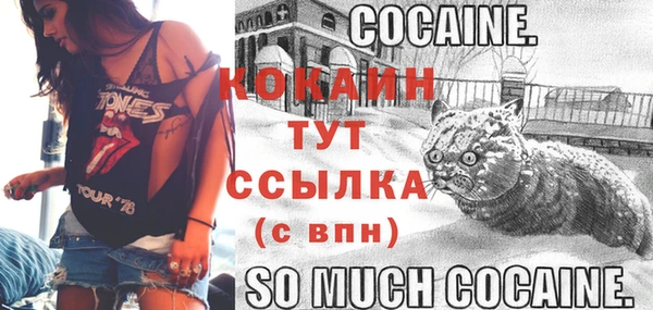молекула духа Осташков