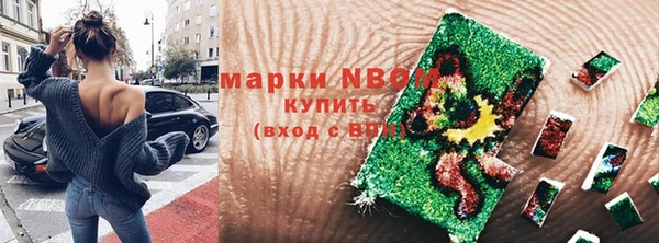 молекула духа Осташков