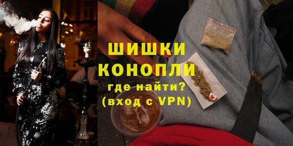 молекула духа Осташков