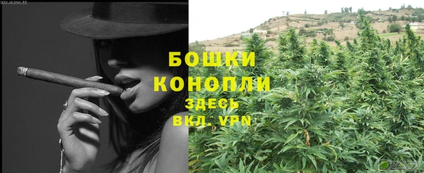 молекула духа Осташков