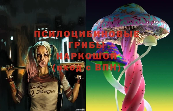 спиды Осинники