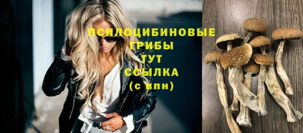 молекула духа Осташков