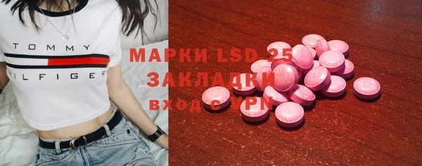 молекула духа Осташков