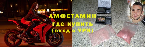 молекула духа Осташков