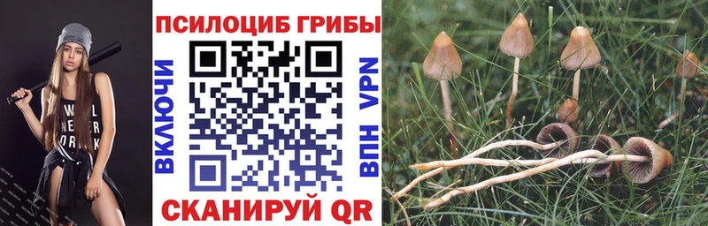 Галлюциногенные грибы Psilocybine cubensis  цены наркотик  Североуральск 