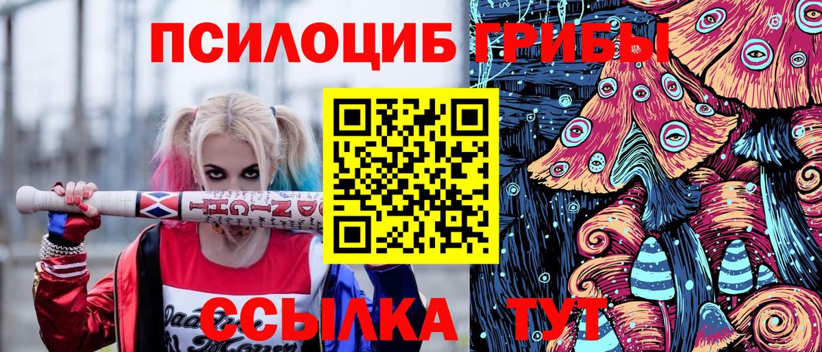 Псилоцибиновые грибы Cubensis Североуральск